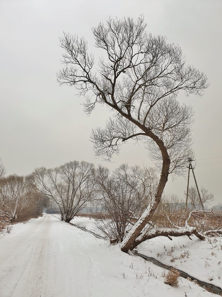 Photograph by Marcin Sokolowski - maarew