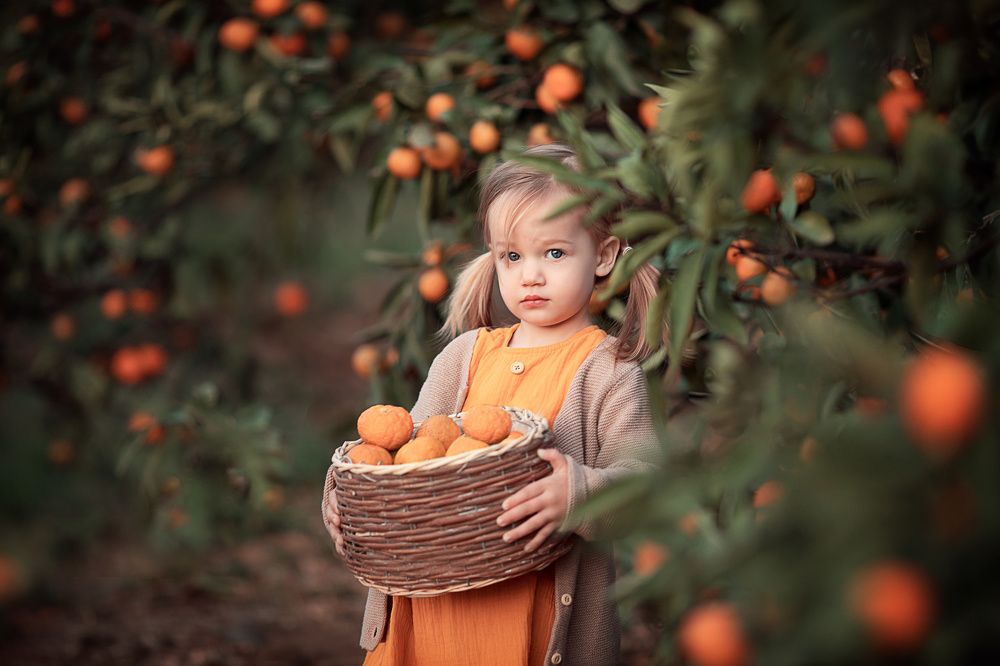 Photograph by Валерия Король