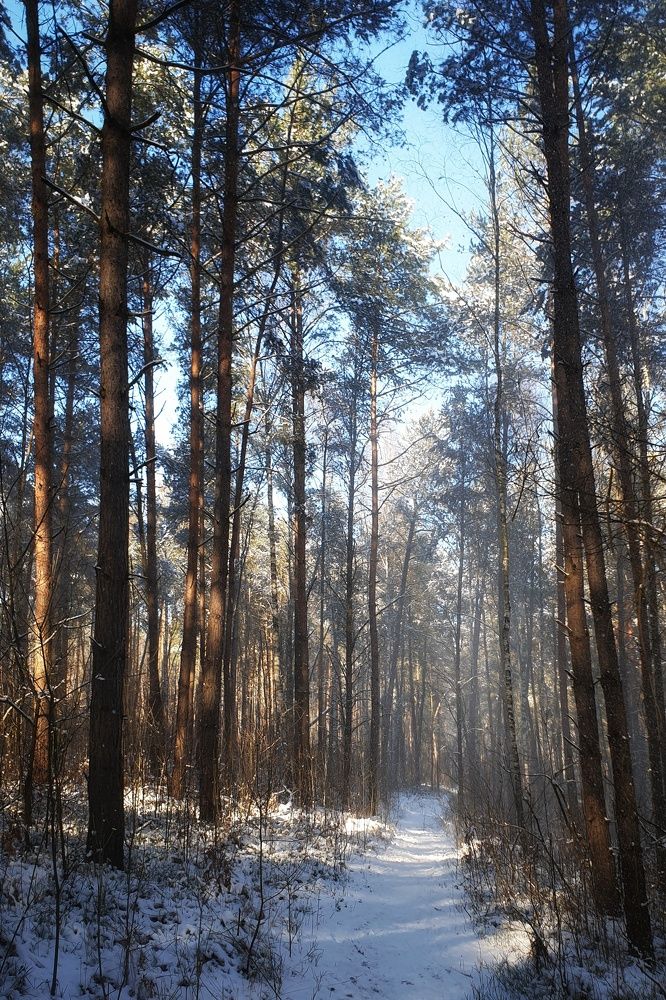 Photograph by Marcin Sokolowski - maarew