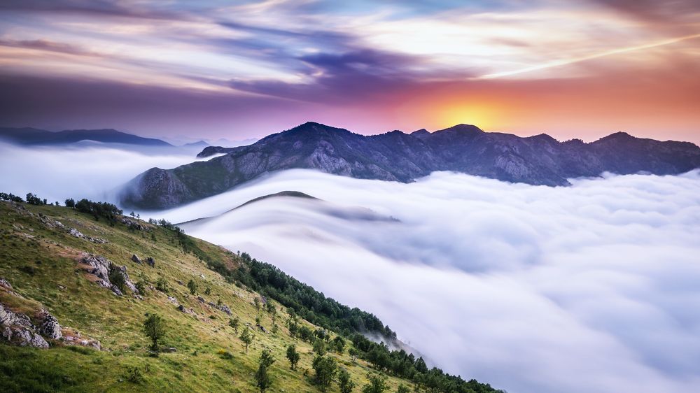 Photograph by Noureddine Belfethi