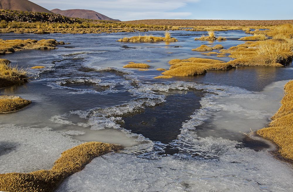Фотография автора Marina