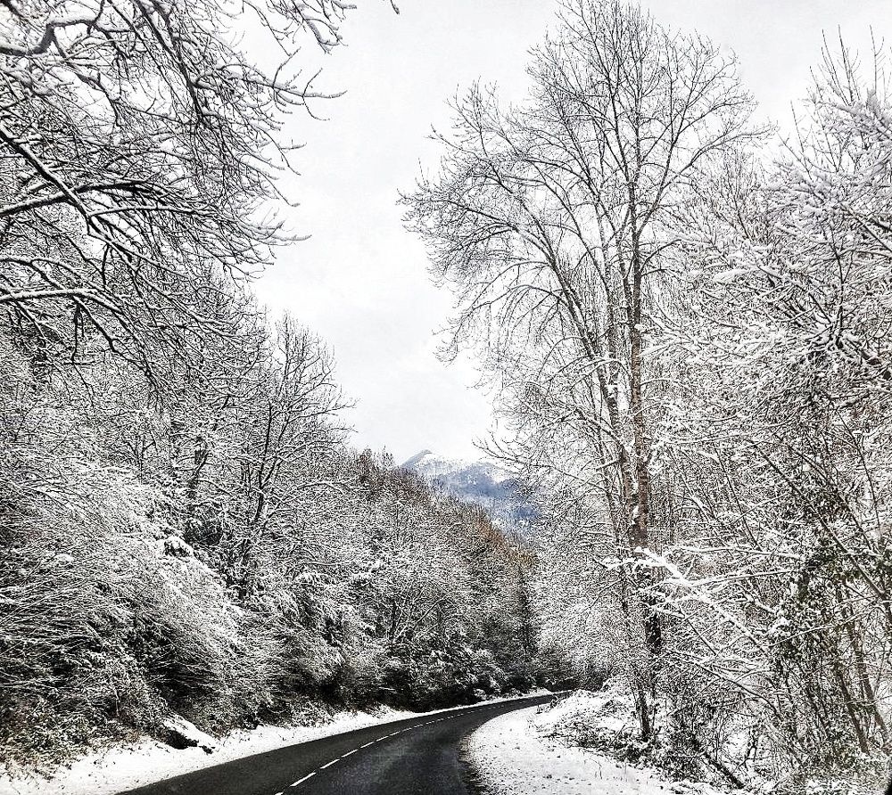 Фотография автора Anavazu