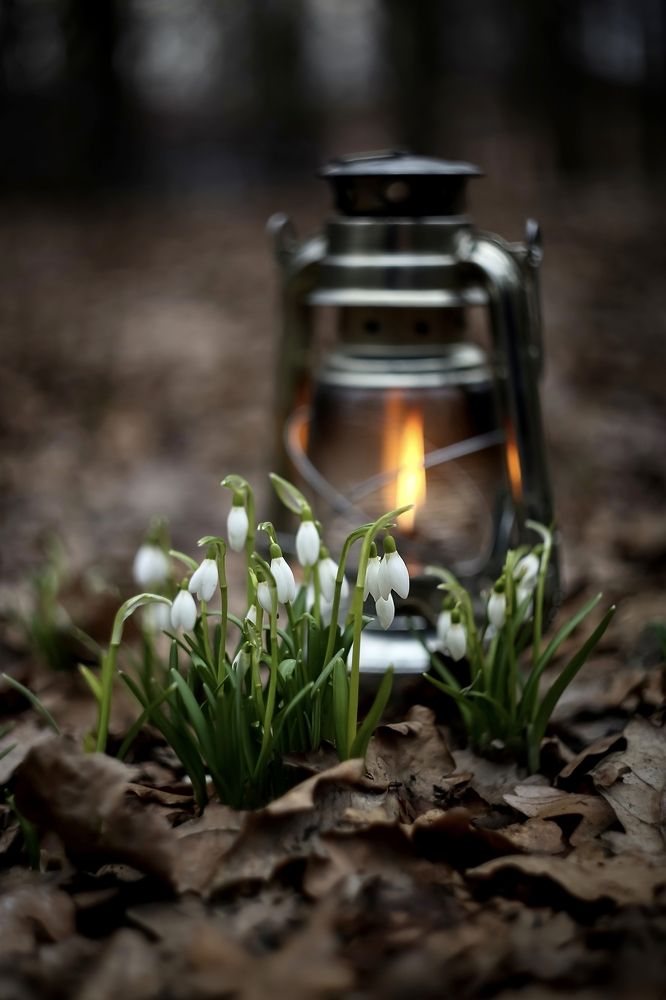 Photograph by Татьяна Кытина