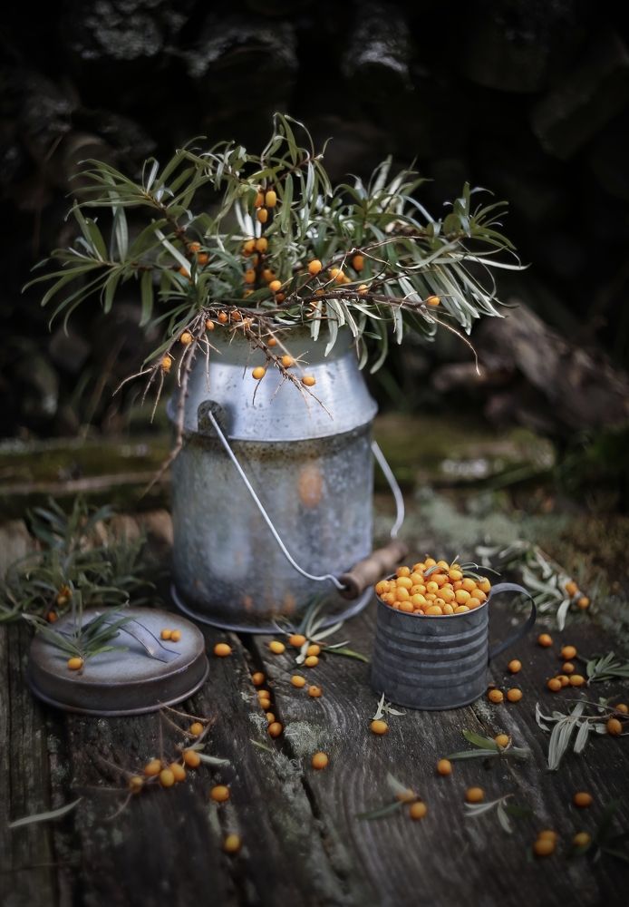 Photograph by Татьяна Кытина