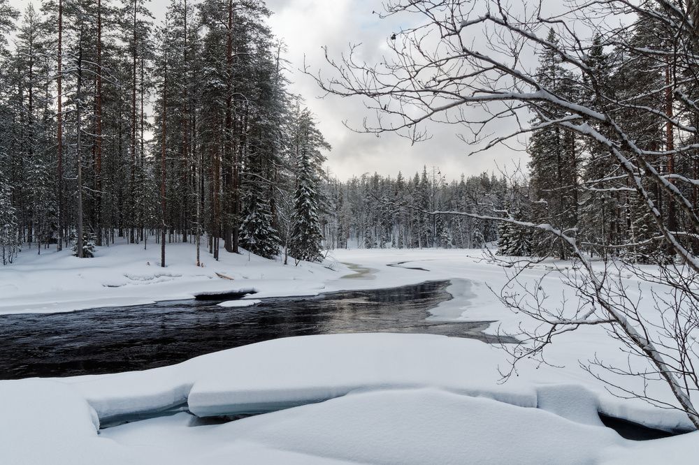 Photograph by Александра Пилипенко