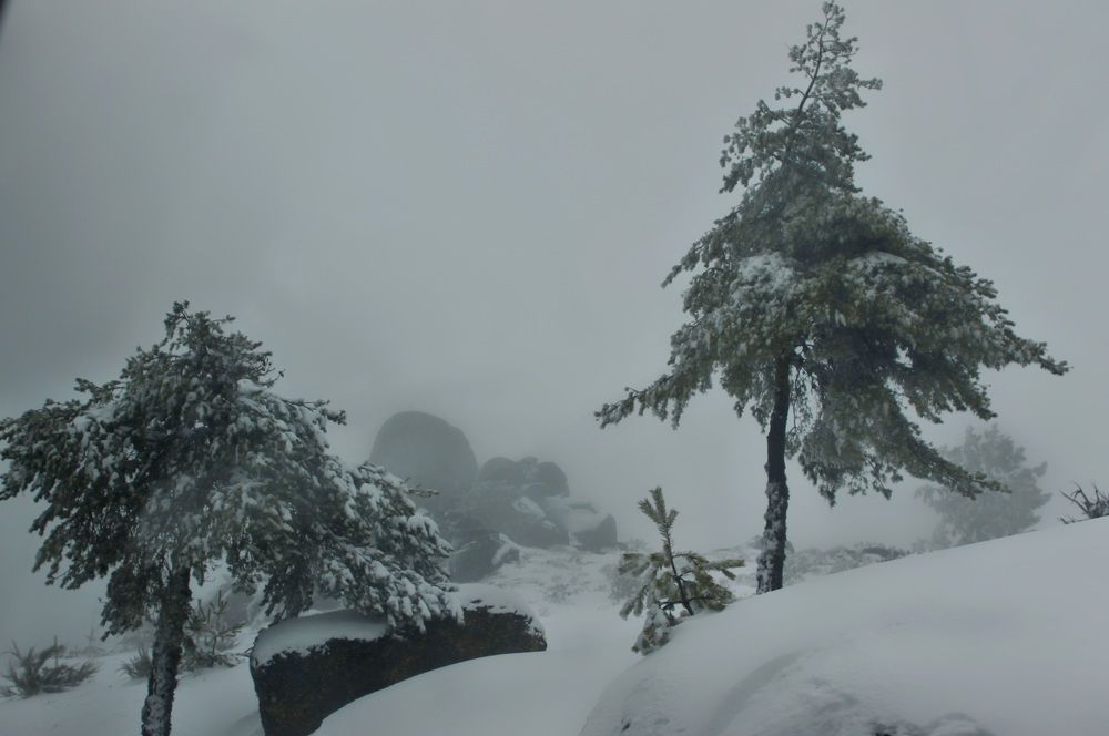 Photograph by Francisco Ferreira