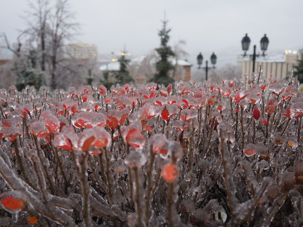 Владивосток после ледяного дождя.