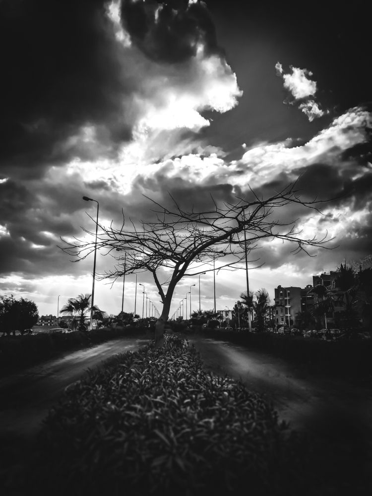 Фотография автора Nasr Khaled