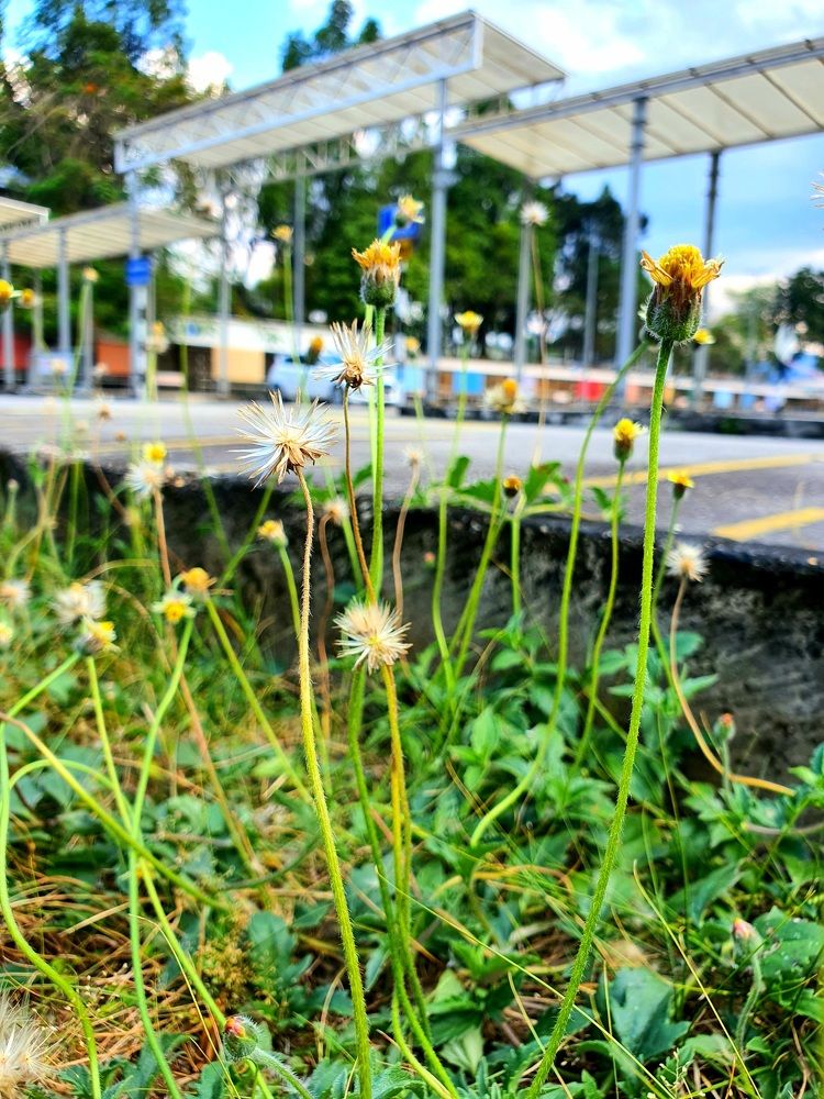 Photograph by Hooi Chuen Keh