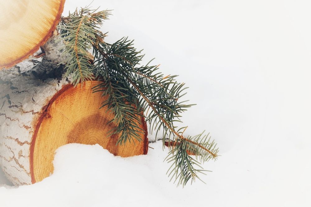 Фотография автора Andrey Pereverzev