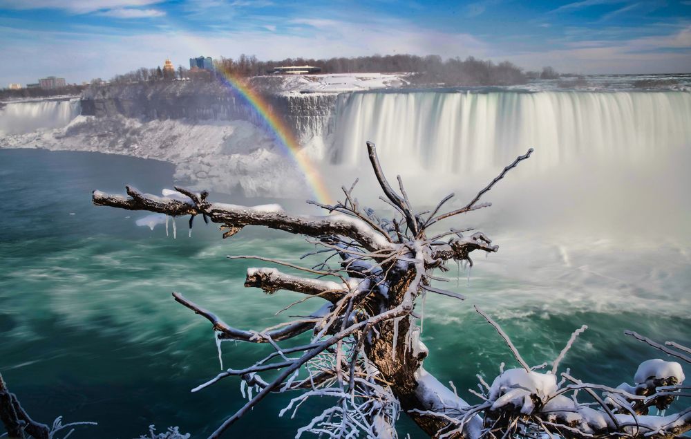 welcome to winter wonderland