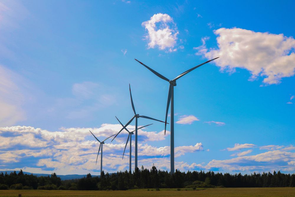 Photograph by Gonzalo Jorge Eduardo MARÓN