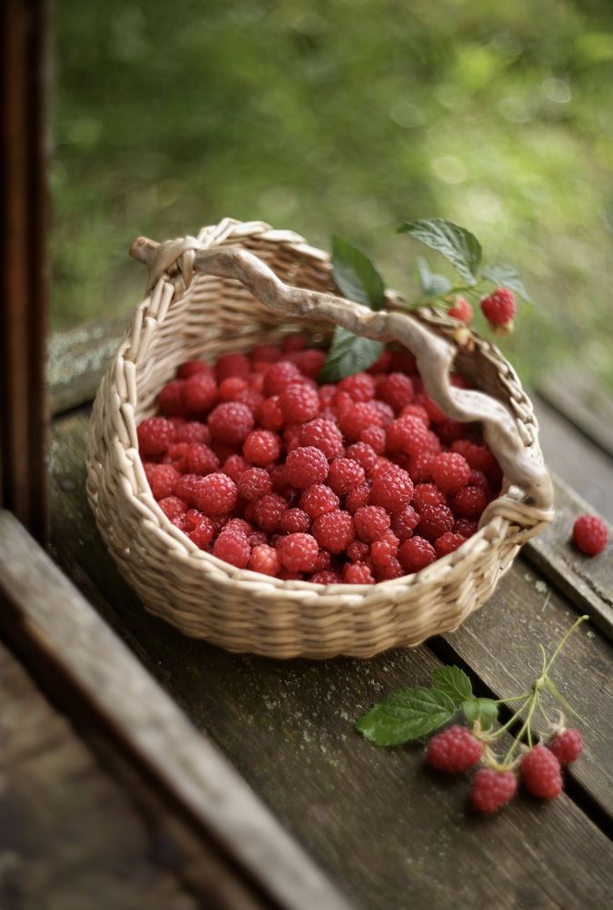 Photograph by Татьяна Кытина