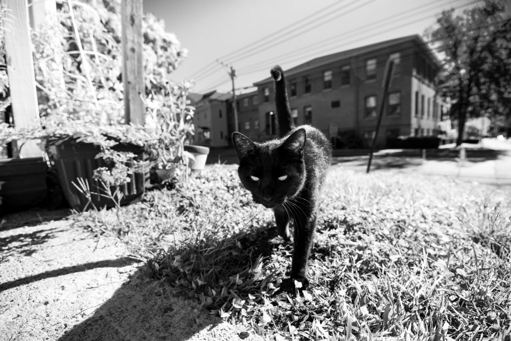 Photograph by Sergei Rukavitsyn