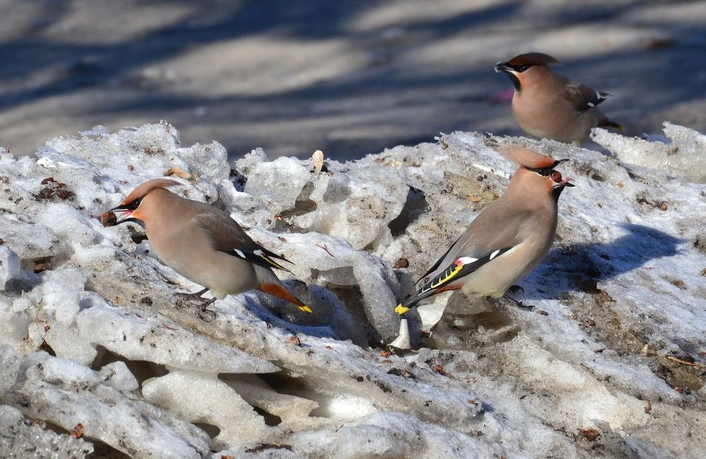 Photograph by Владислав Завальнюк