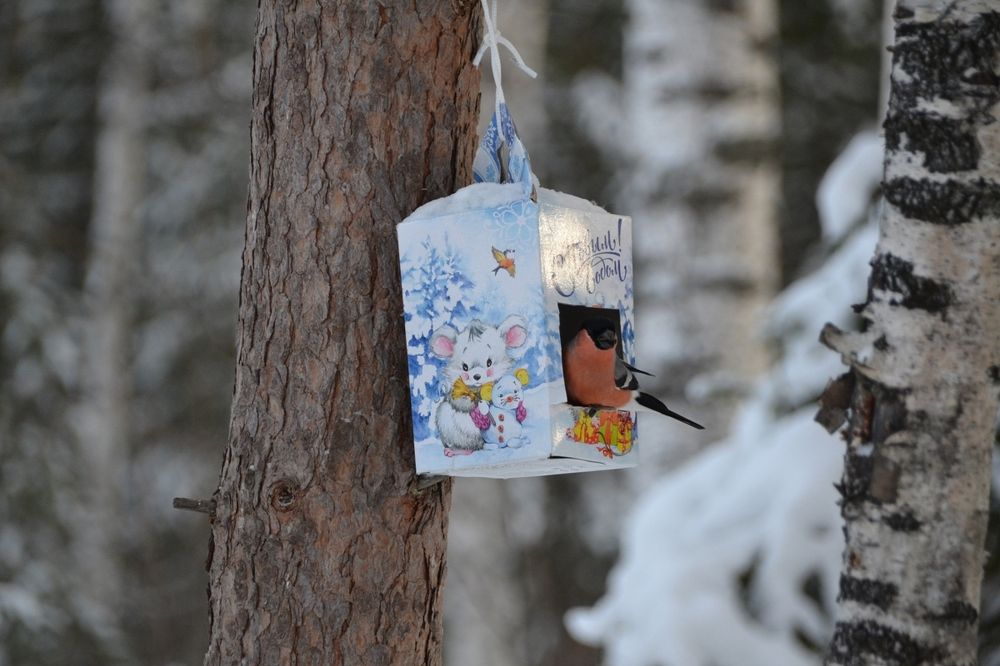 Photograph by Владислав Завальнюк