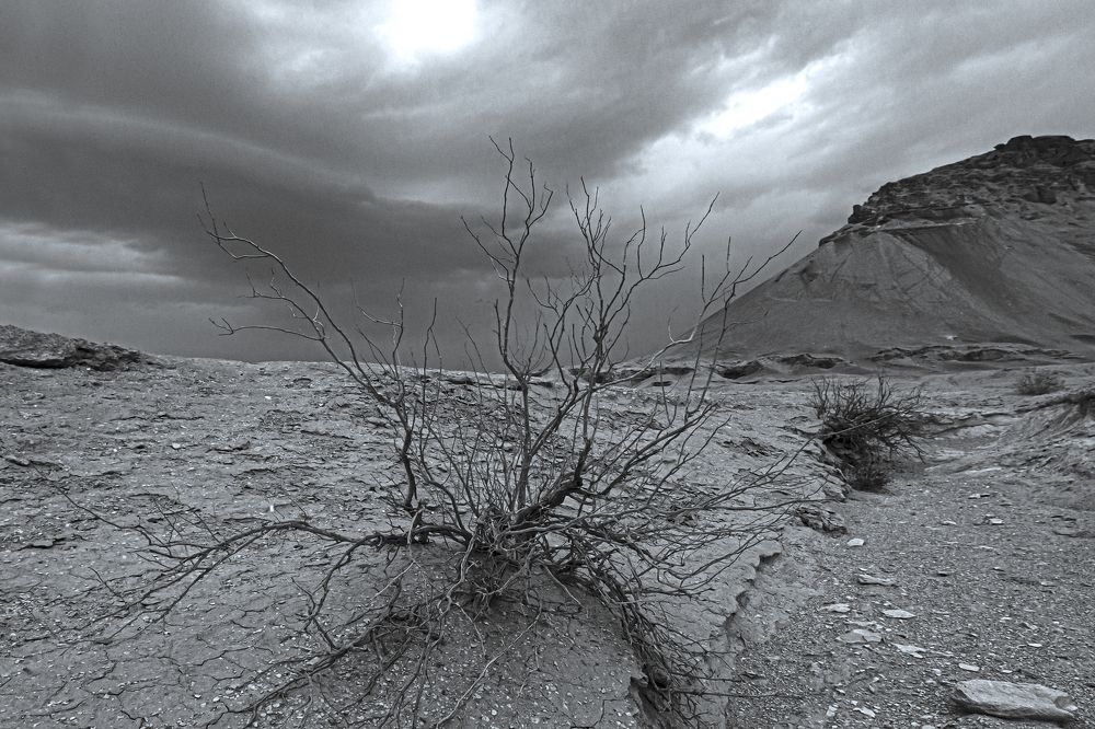 Photograph by Hait Roman