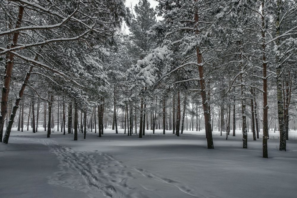 Photograph by Сергей Храпков