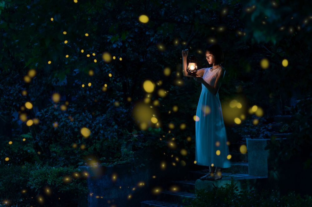 Photograph by 王饼叔