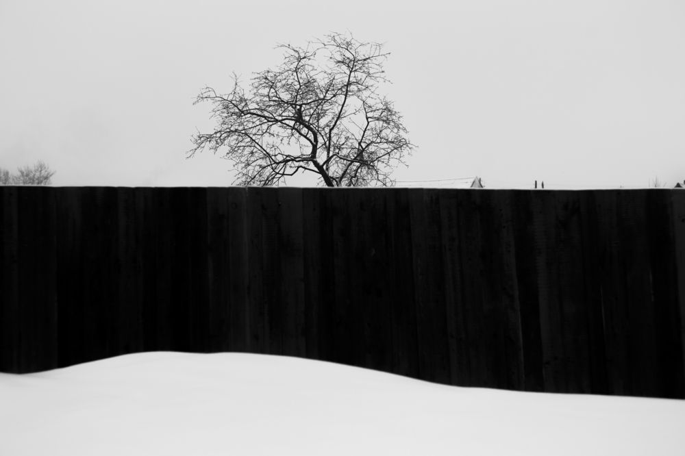 Photograph by Кирилл Трушин