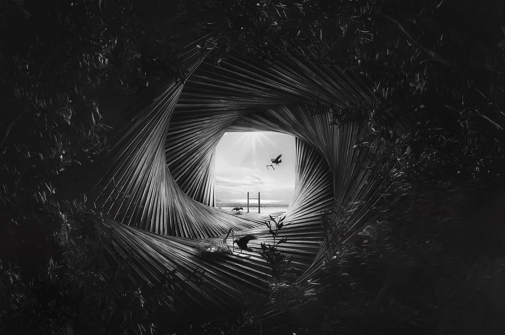 Photograph by KAWAKAMI KAZUTOSHI