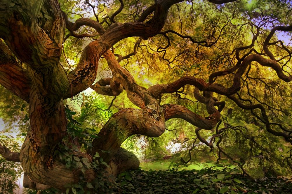 Photograph by liz okon