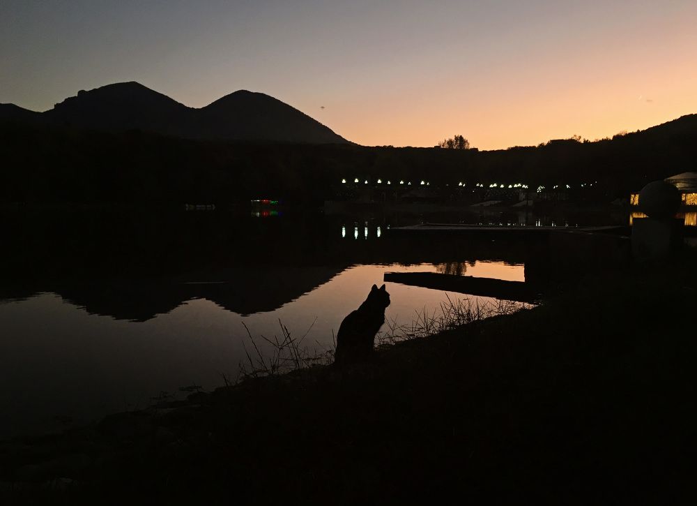 Photograph by Мария Мурзина