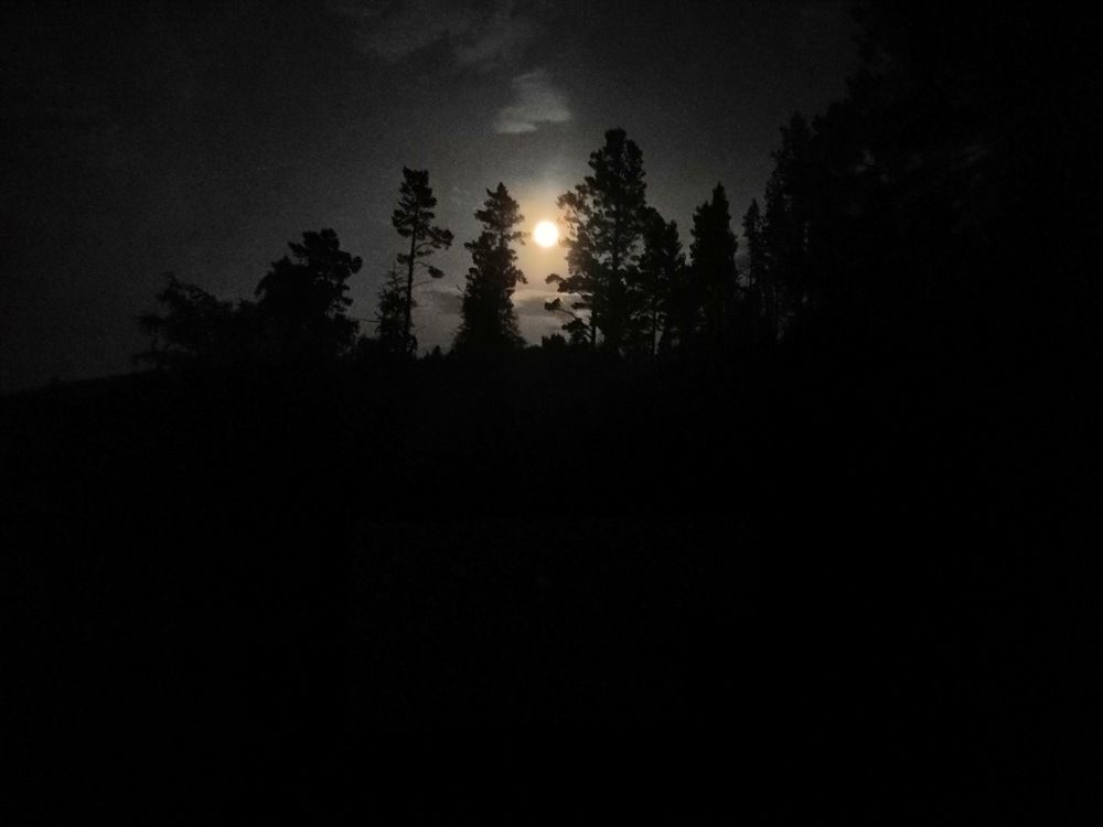 Photograph by Михаил