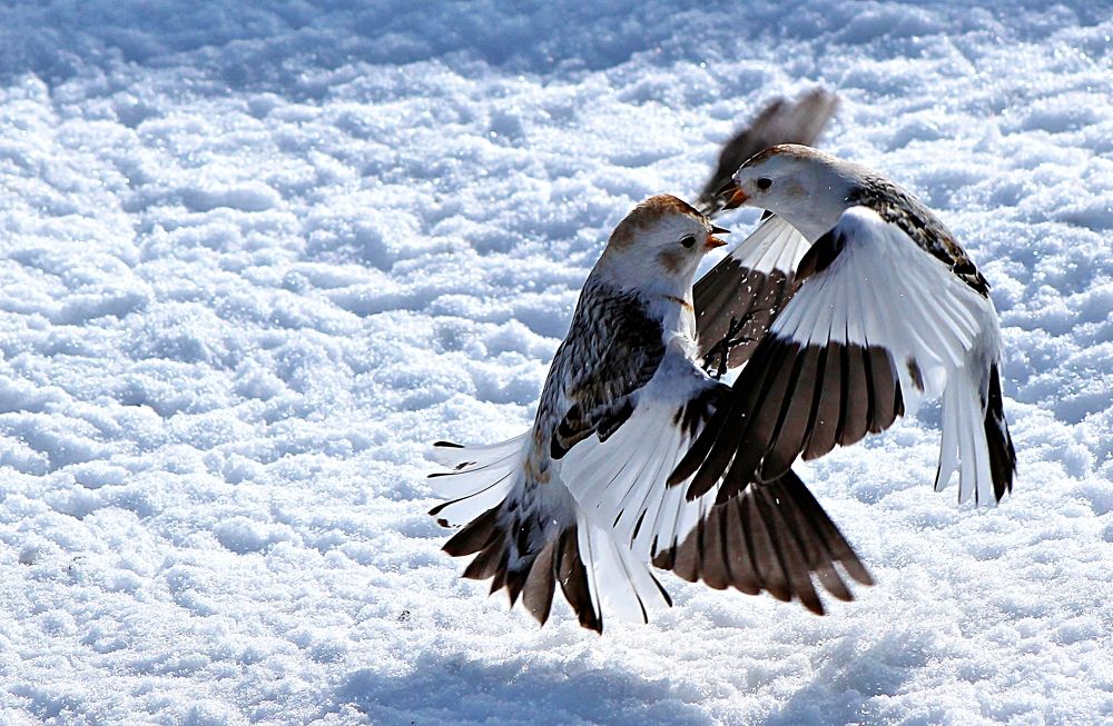 После долгой разлуки