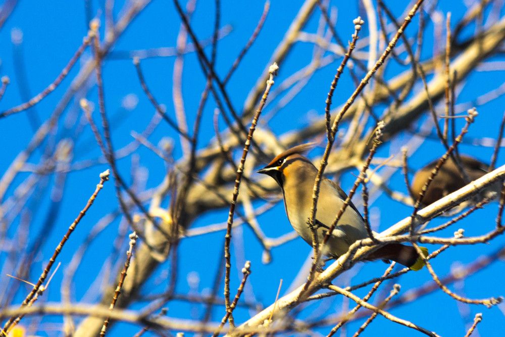 Photograph by Юрий Яковлев