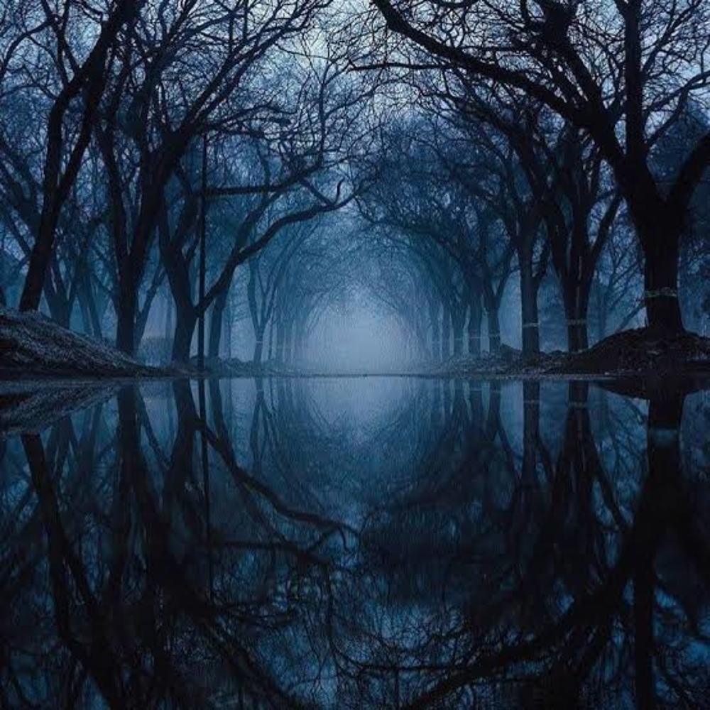 Photograph by Waleed Khan