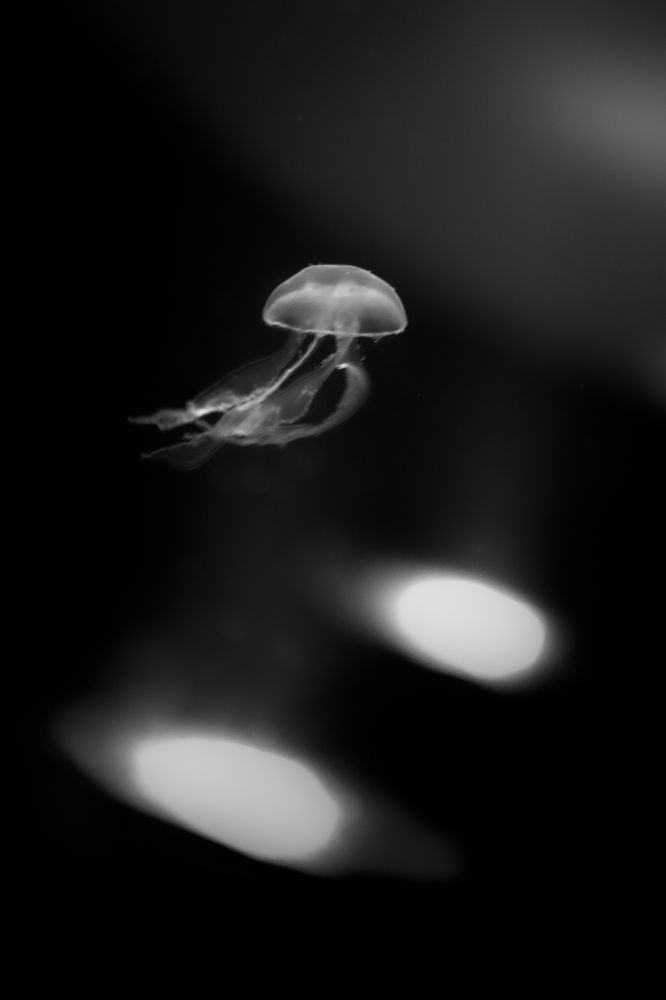 Photograph by Sergei Rukavitsyn