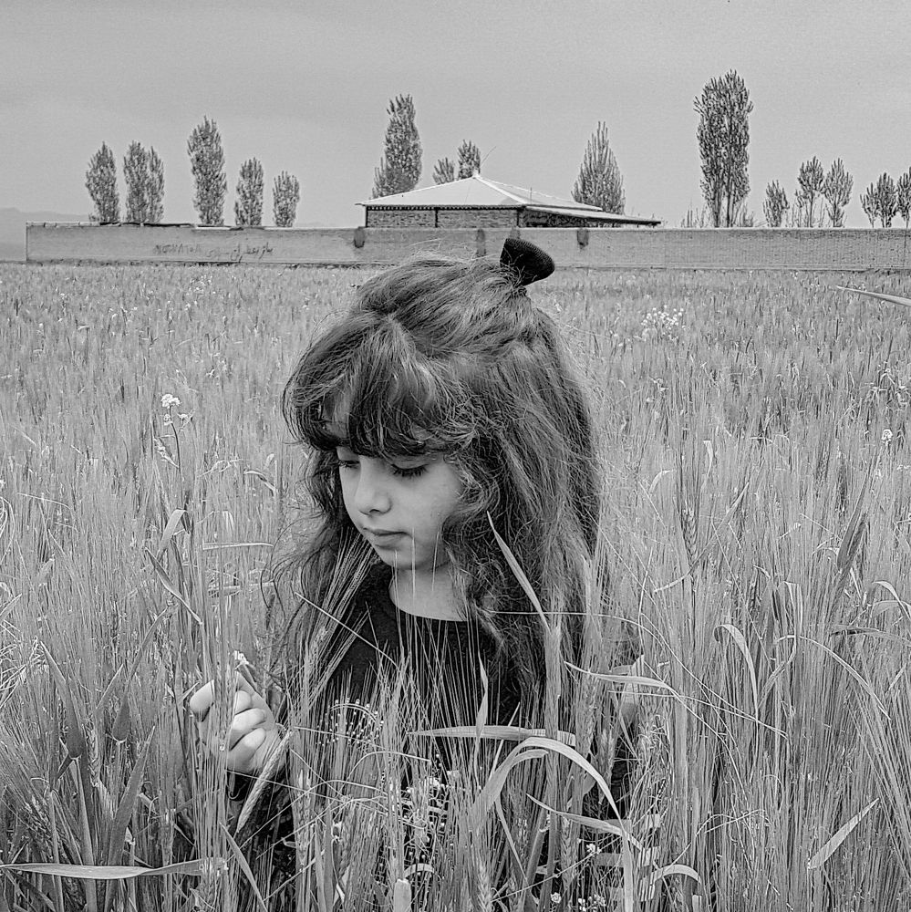 Фотография автора Nima Nezafat Yazdi