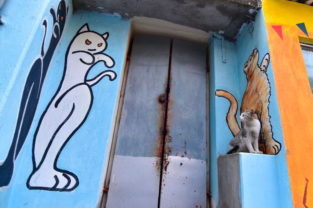 Photograph by Sudeb Chowdhury