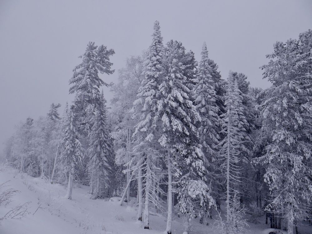 Photograph by Алеся Дей