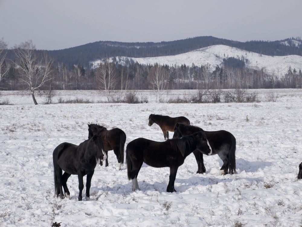 Photograph by Алеся Дей