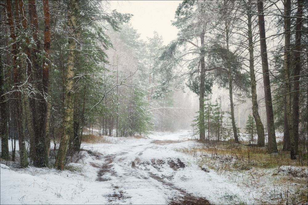 Photograph by Максим Сухов