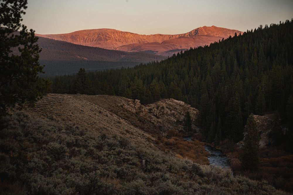 Photograph by Daria Tuchak