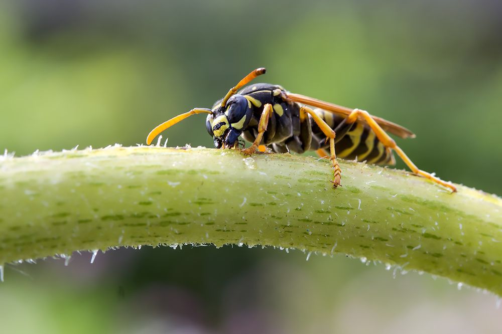 Photograph by Сергей Крышен