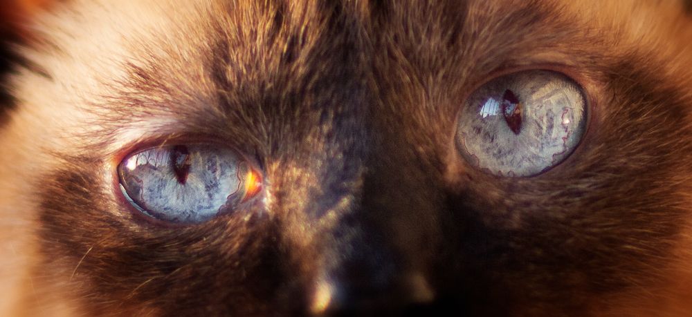 Photograph by Басалаев Евгений