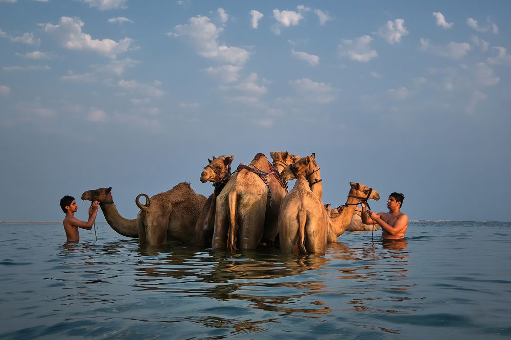 We follow our tradition!