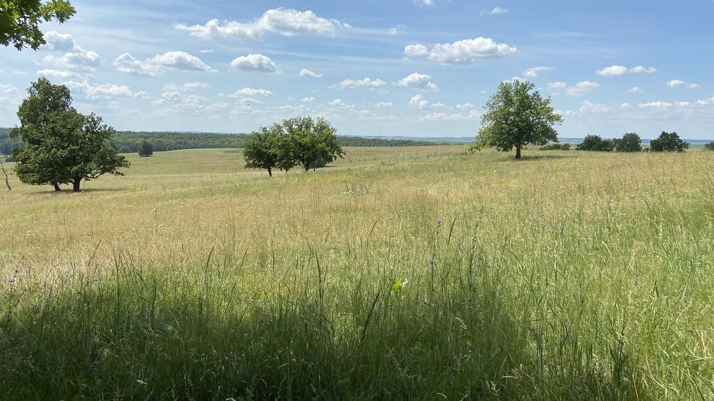 Фотография автора Илиза Майнурова