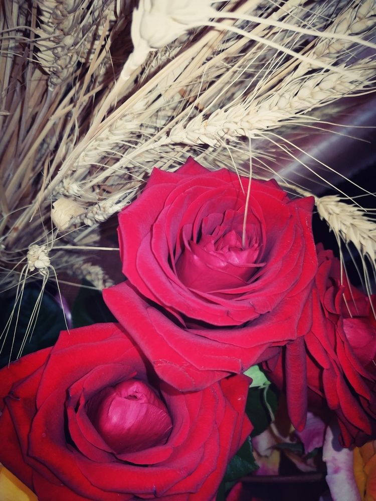 Photograph by Виктория