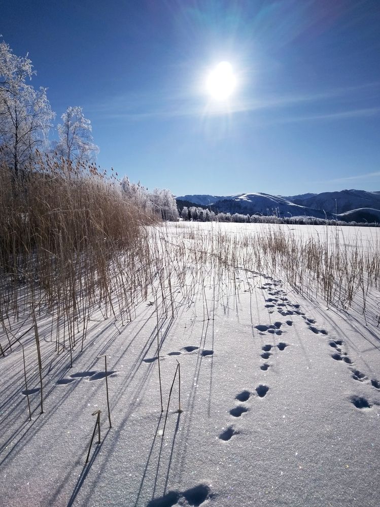 Photograph by Алла Максимович