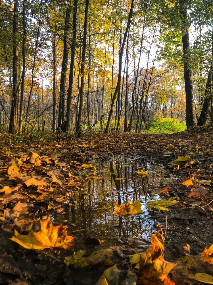 Photograph by Анна Грачёва