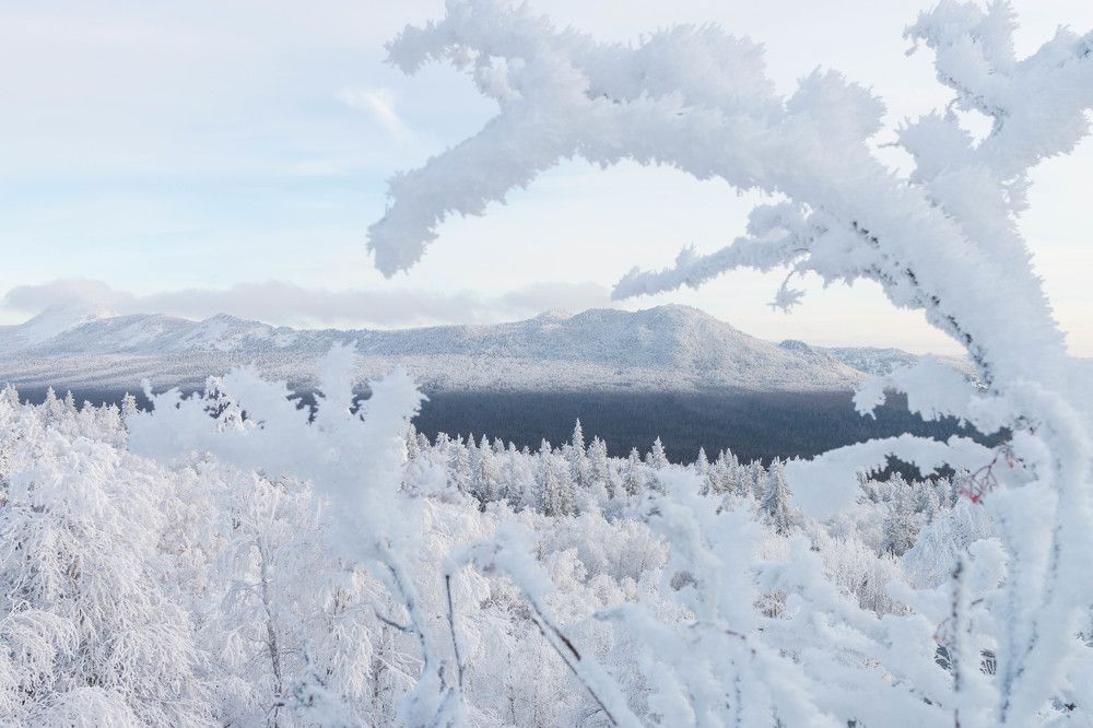 Photograph by Ирина Кононова