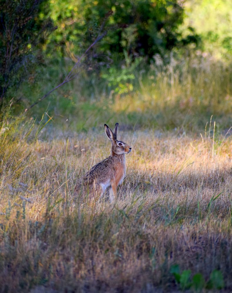 Photograph by Елена Манаева