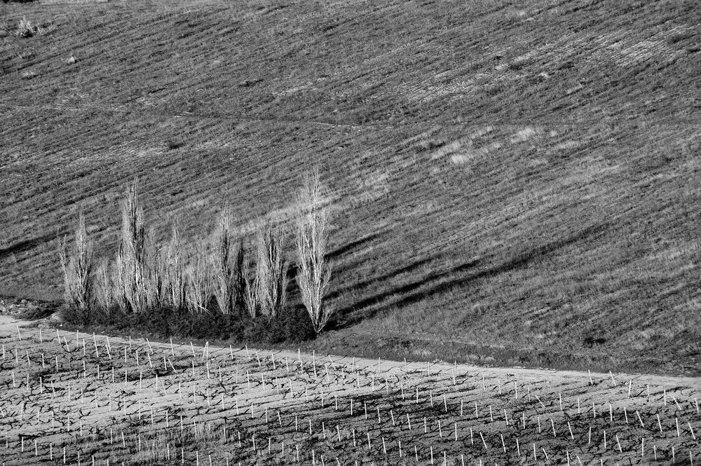 Photograph by Светлана Борозенцева