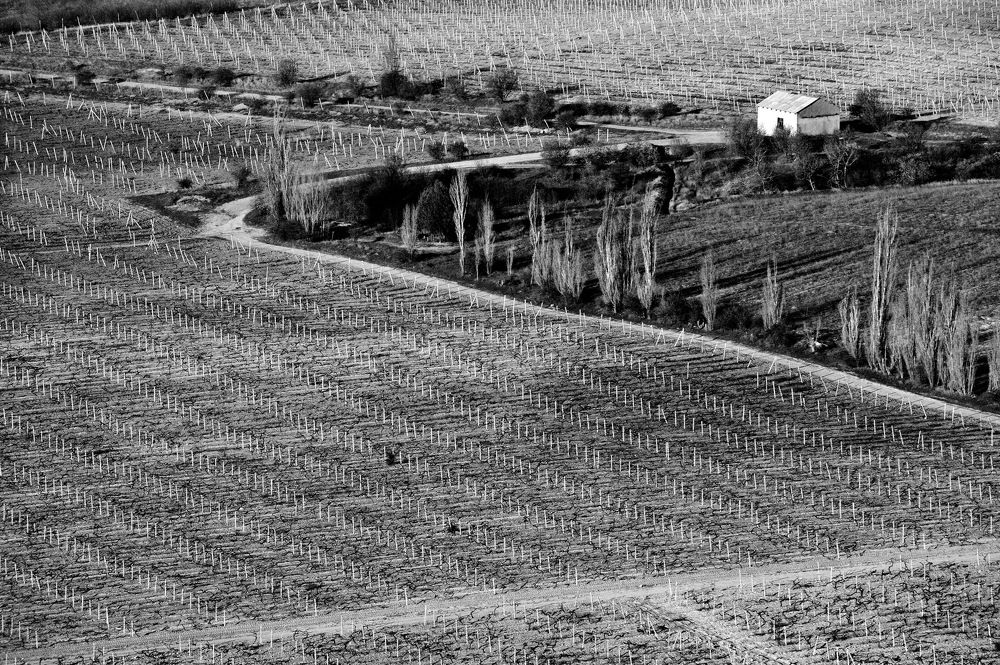 Photograph by Светлана Борозенцева