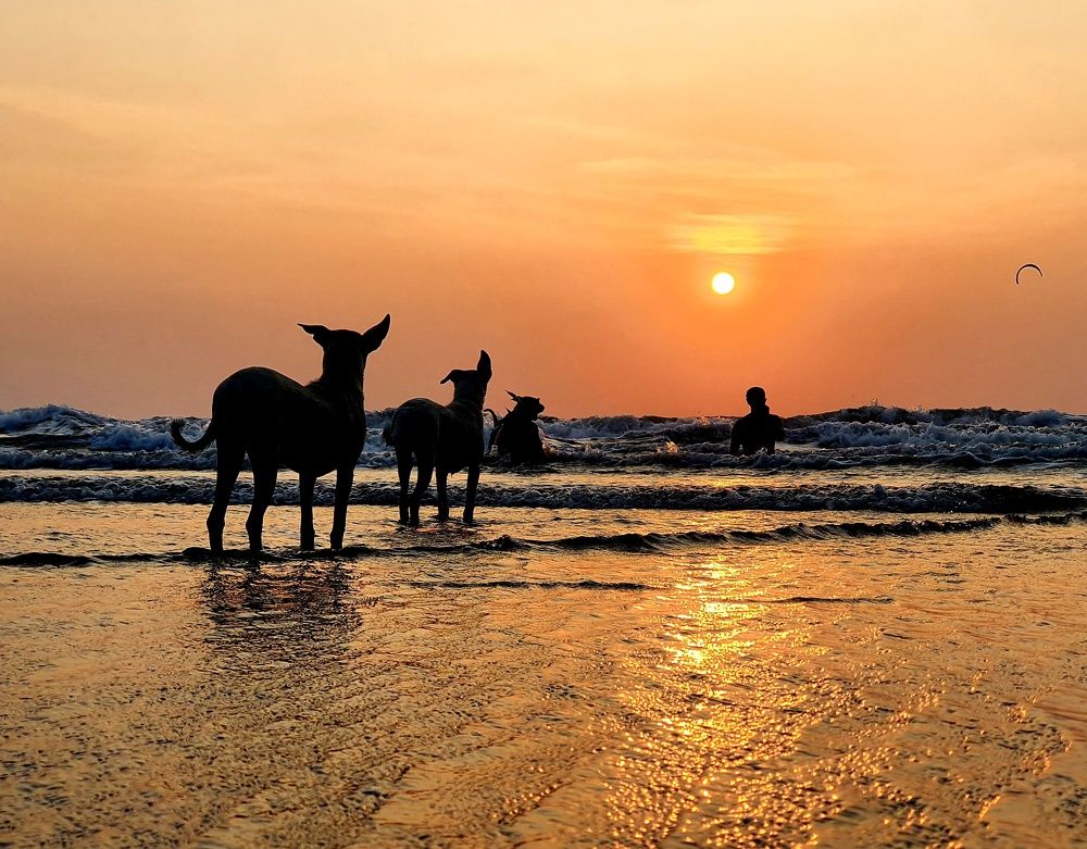 Photograph by Елена Каменецких